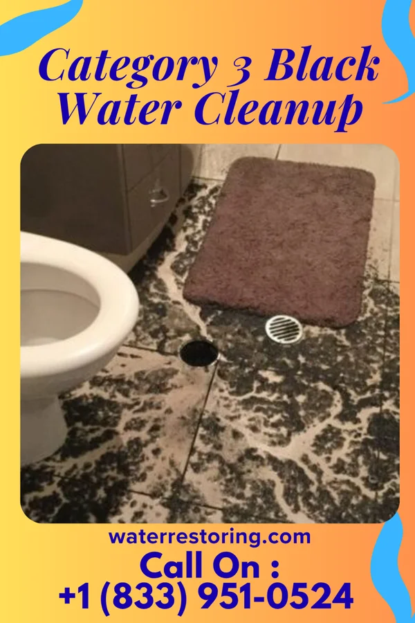 Category 3 Black Water Cleanup in Nesika Beach, OR